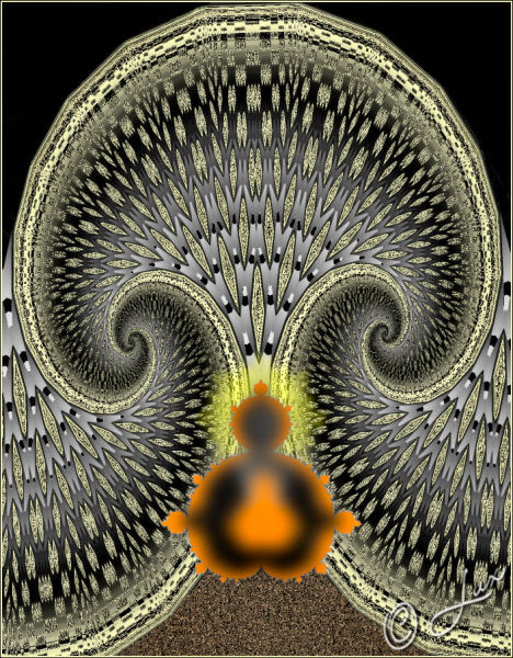 Image #2 of 12: 